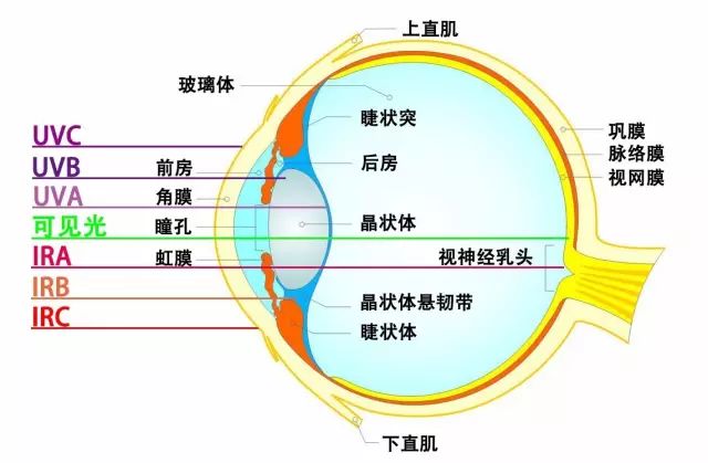 激光光生物安全和光生物安全介绍(图1)