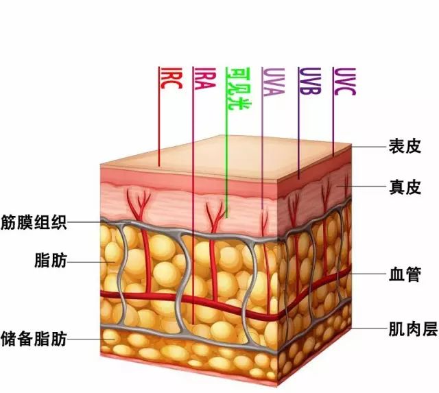 激光光生物安全和光生物安全介绍(图2)